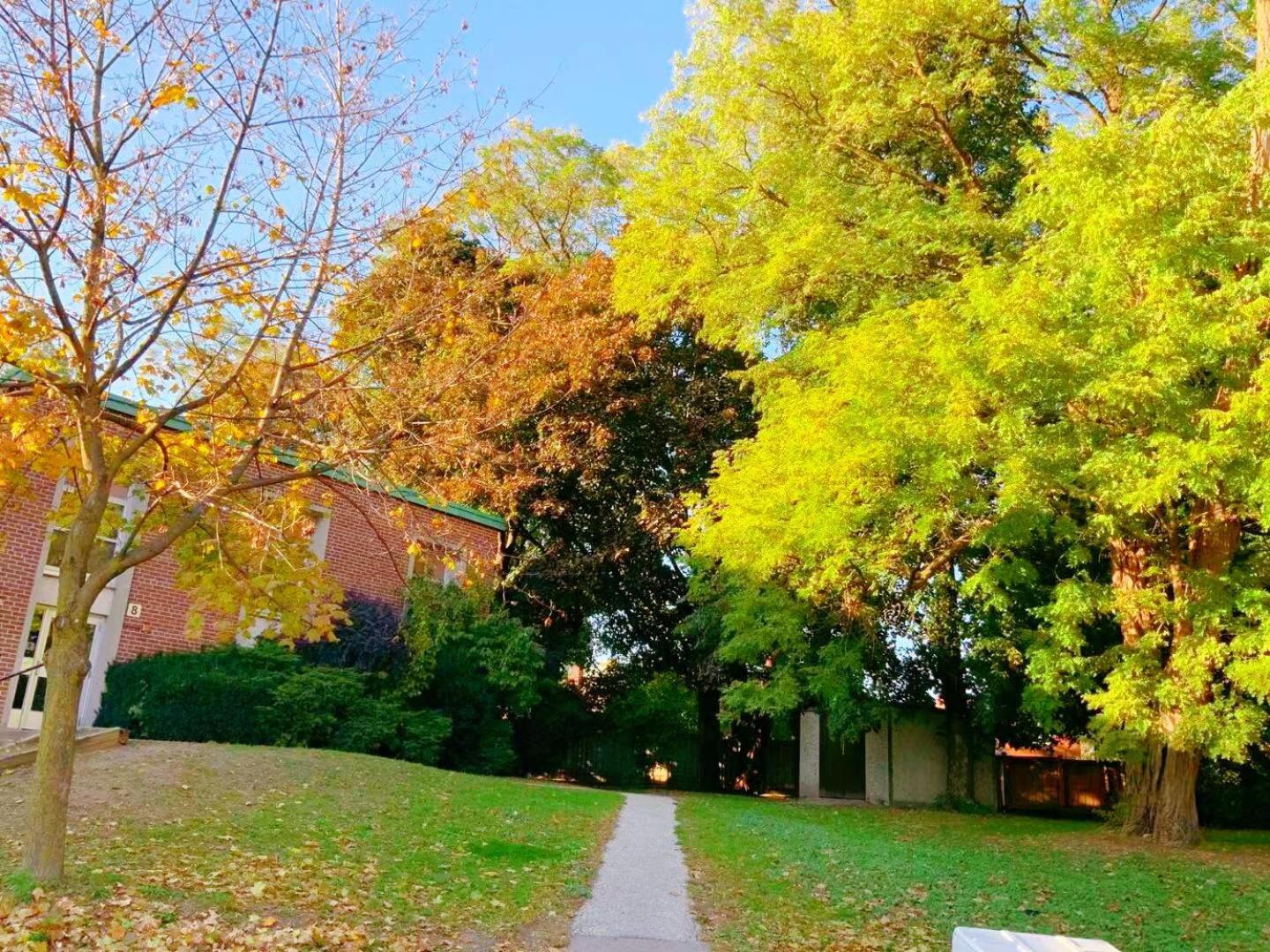 Leaside Garden Guesthouse Toronto Extérieur photo
